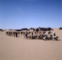 Sahara, Karawane nahe der Oase Djanet